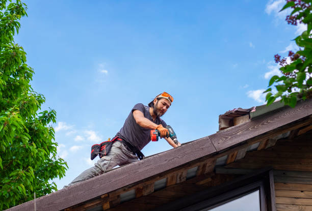 Best Solar Panel Roofing Installation  in Collinsvle, IL