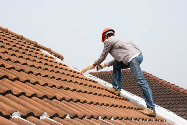 Best Roof Ventilation Installation  in Collinsvle, IL