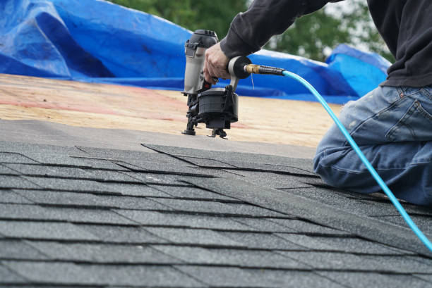 Best Roof Leak Repair  in Collinsvle, IL